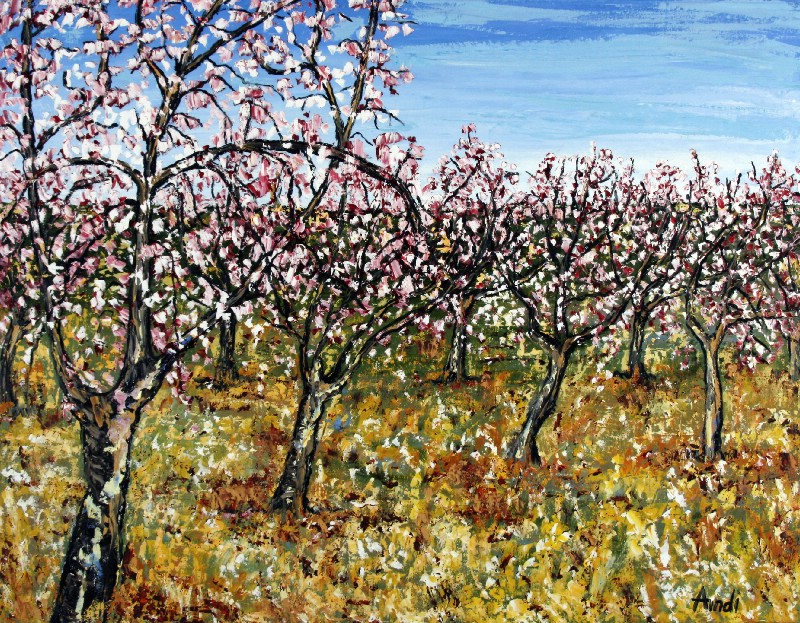 Flowering Trees - Provence