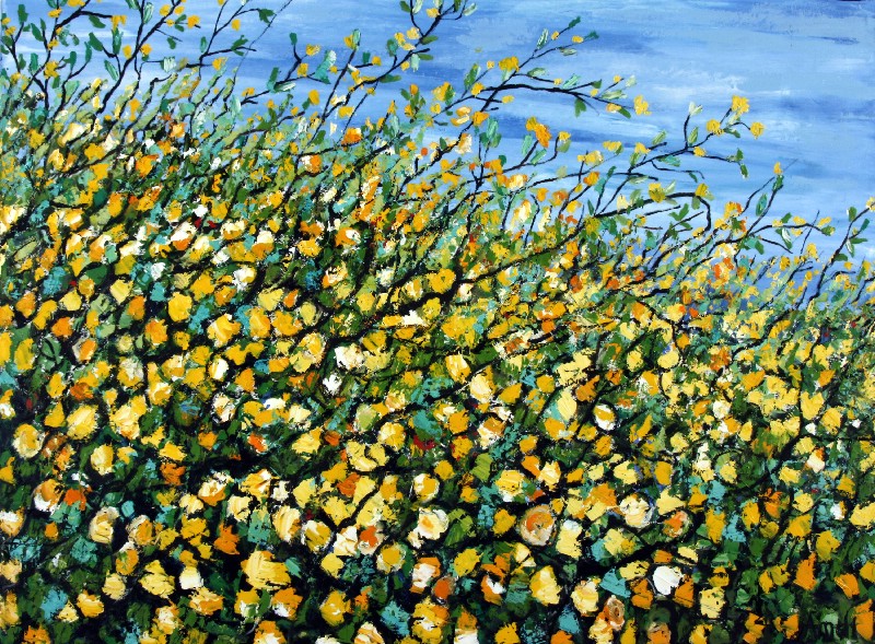 Yellow Busches I - Provence