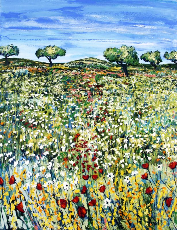 Wild Flovers - Provence