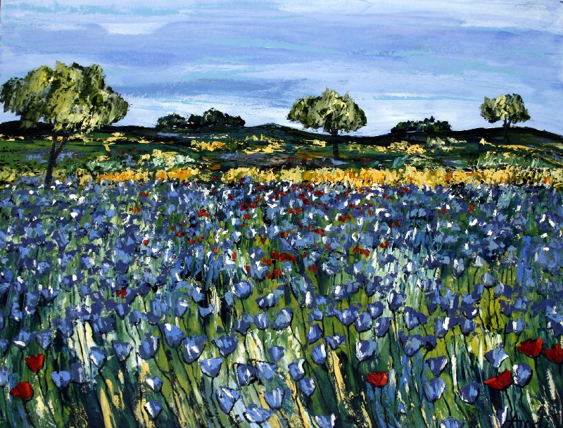 Blue Field - Provence