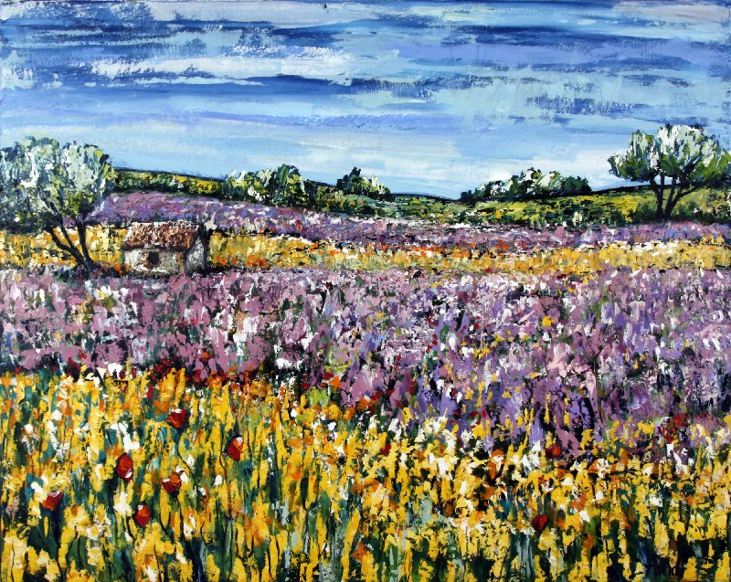 Purple And Yellow Flowers - Provence