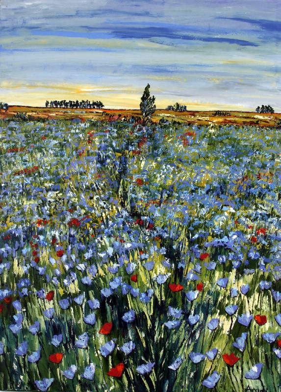 Field With Cornflowers - Provence