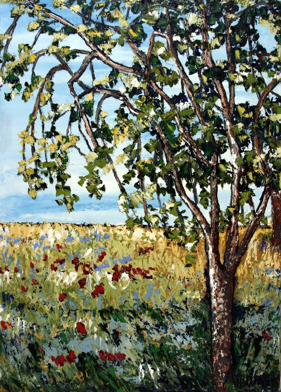 Blomstereng - Provence