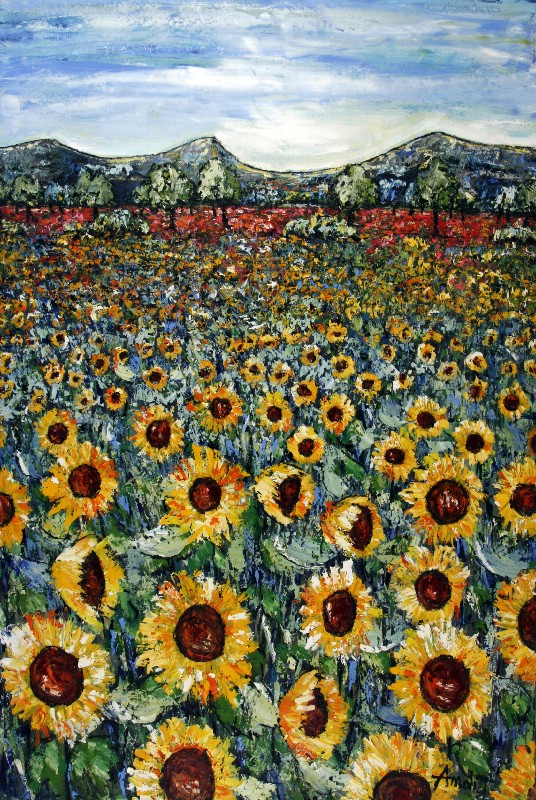 Sunflowers - Provence