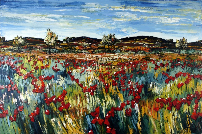 Plateau Du Pennafour - Provence