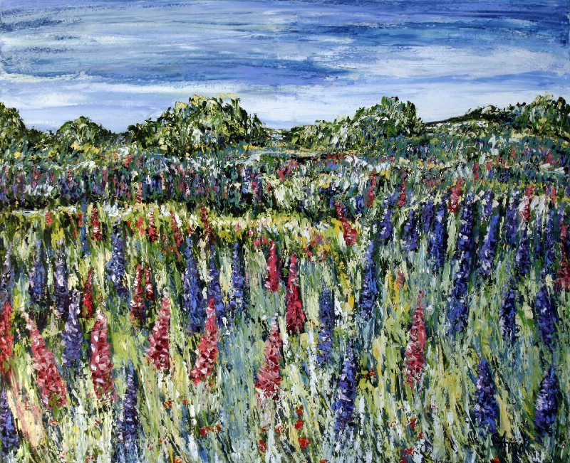 Mark med lupiner - Provence