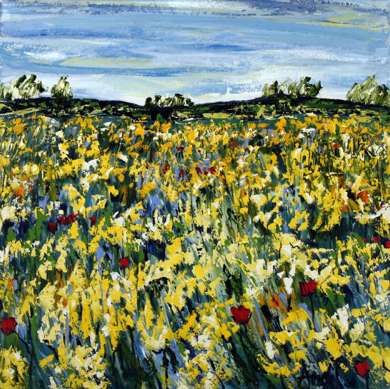 Yellow Field - Provence