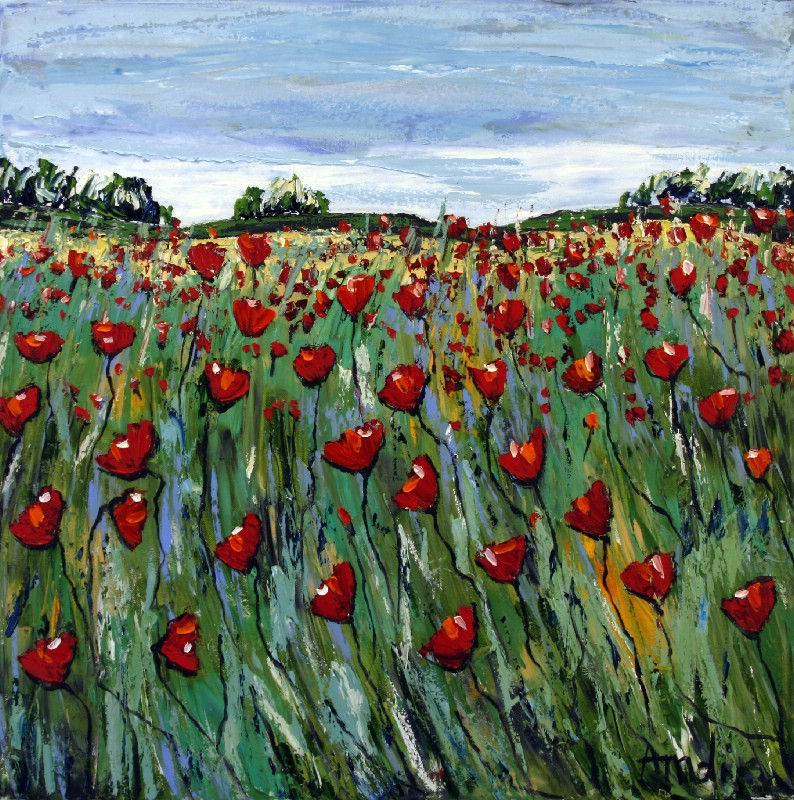 Bella Vue - Provence