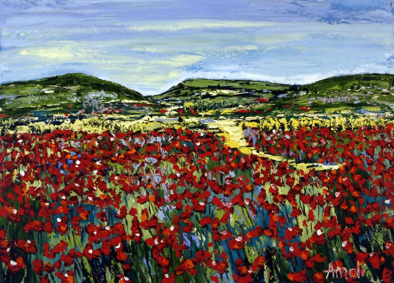 Plateau Doves - Provence