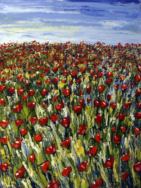 Endless Wireles - Provence