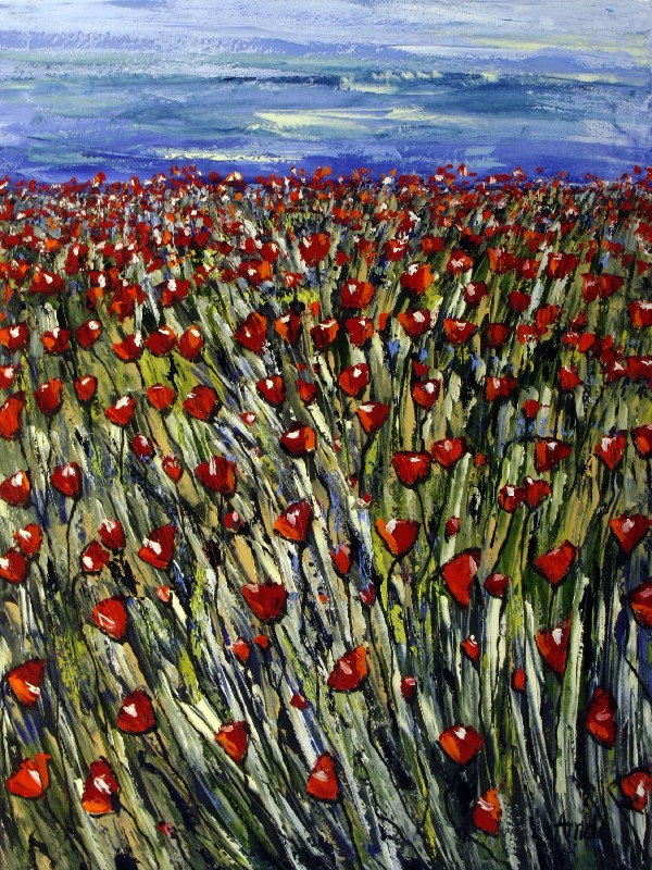 Tvillight - Provence