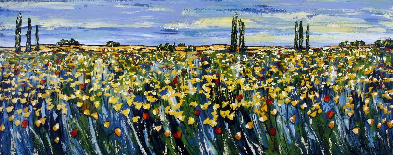 Wide Horizon - Provence