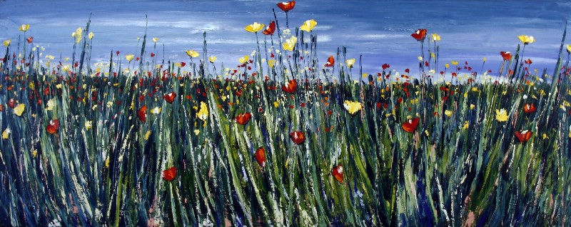 Wild Flowers - Provence