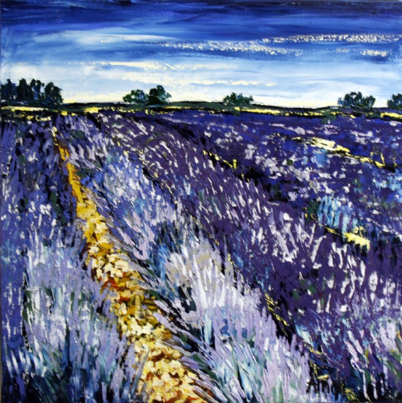 Purple Fields - Provence