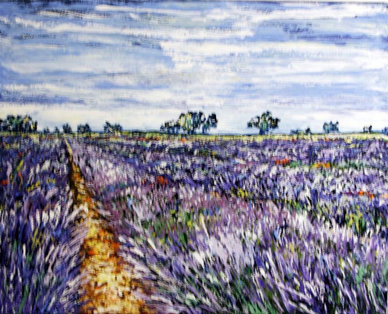 Lavender Fields