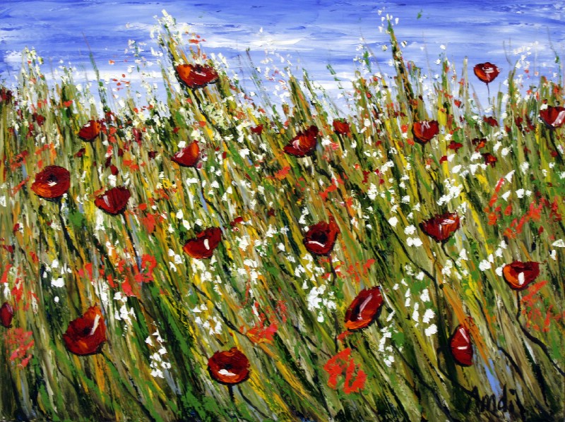 fleuers Mixtes - Provence