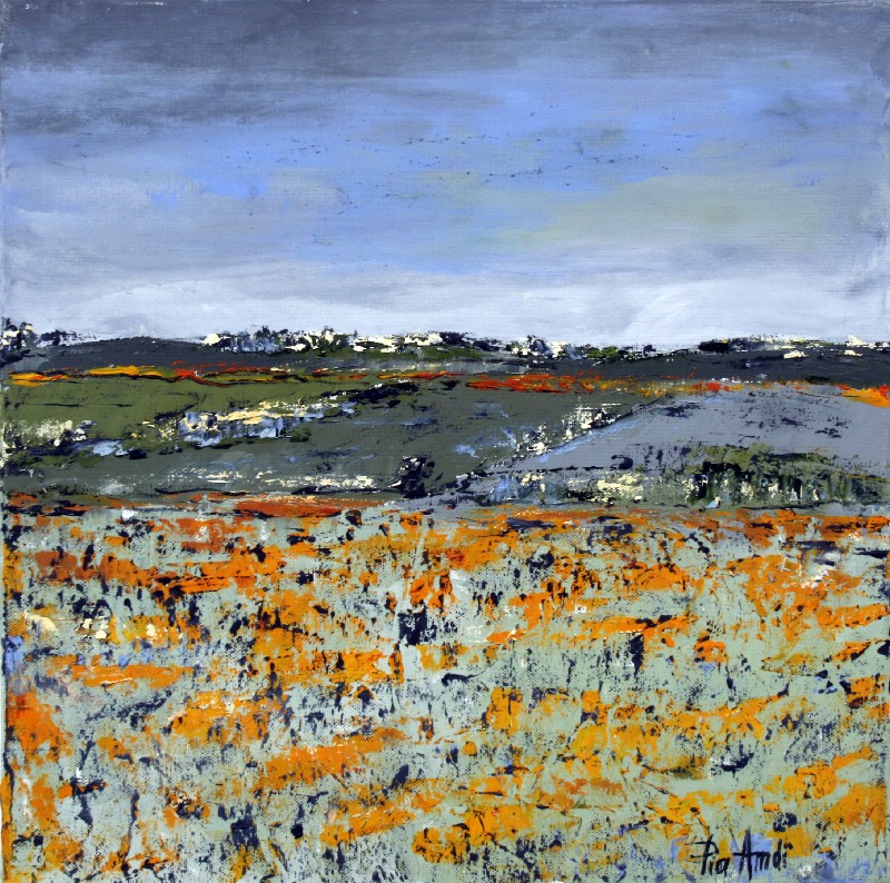 Fields II - Provence