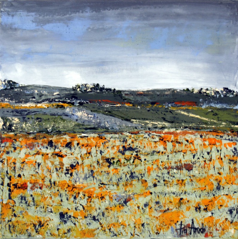 Fields III - Provence