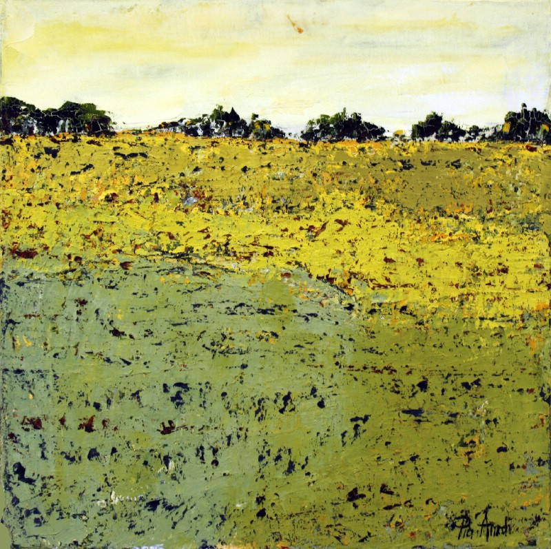 Fields IV - Provence