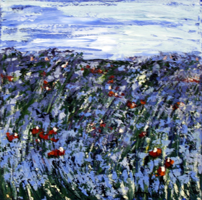 Blå blomster - Provence