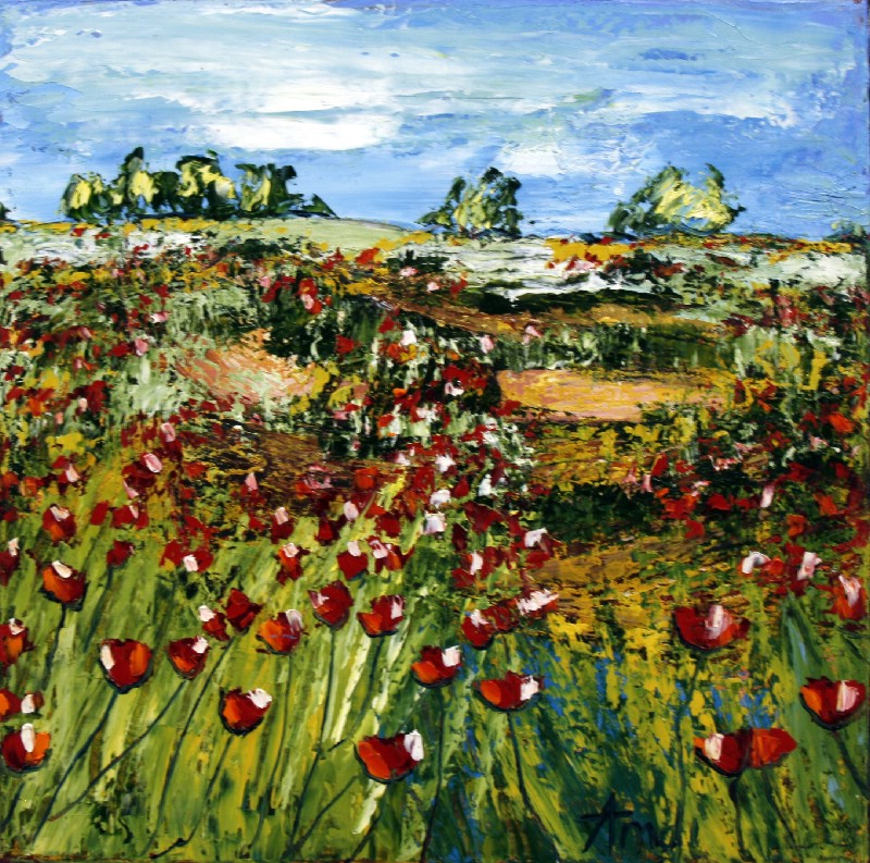 Soft Landscape - Provence