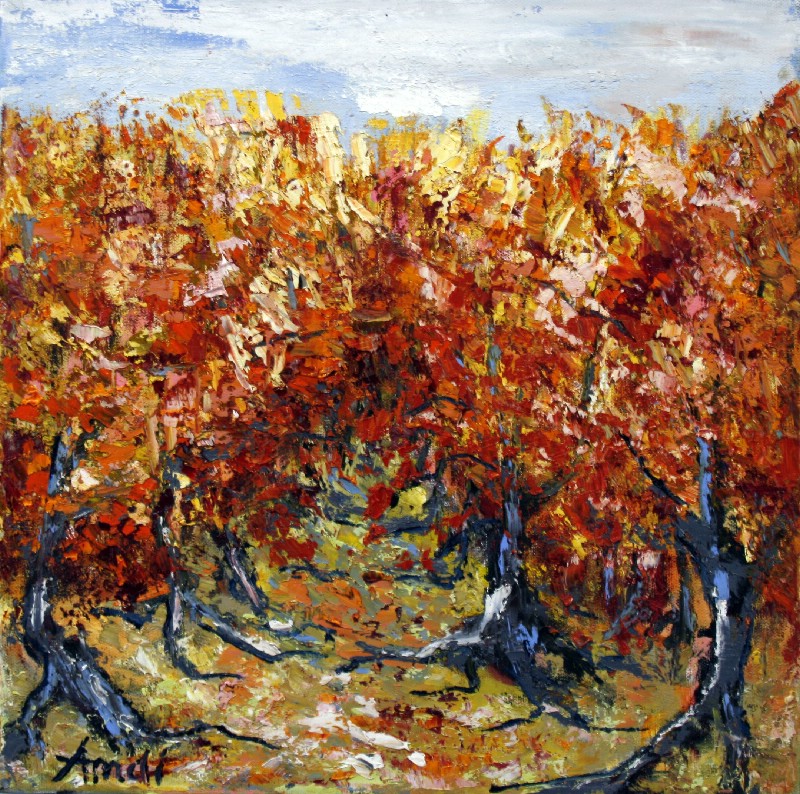 Røde vinranker - Provence