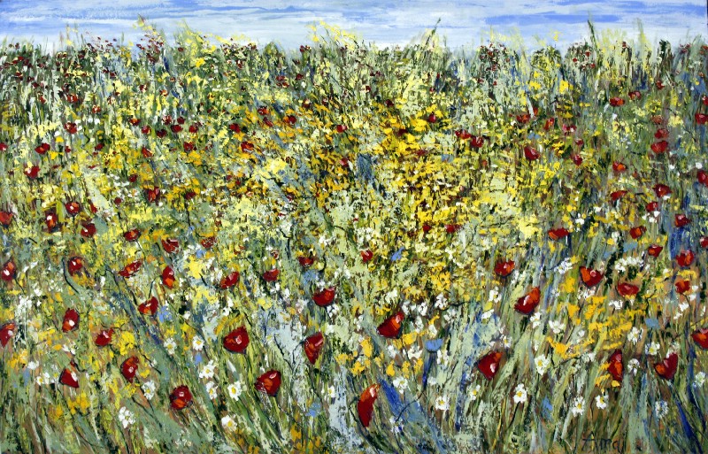 Field Of Sunshine - Provence