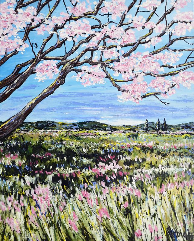 Printemys - Provence