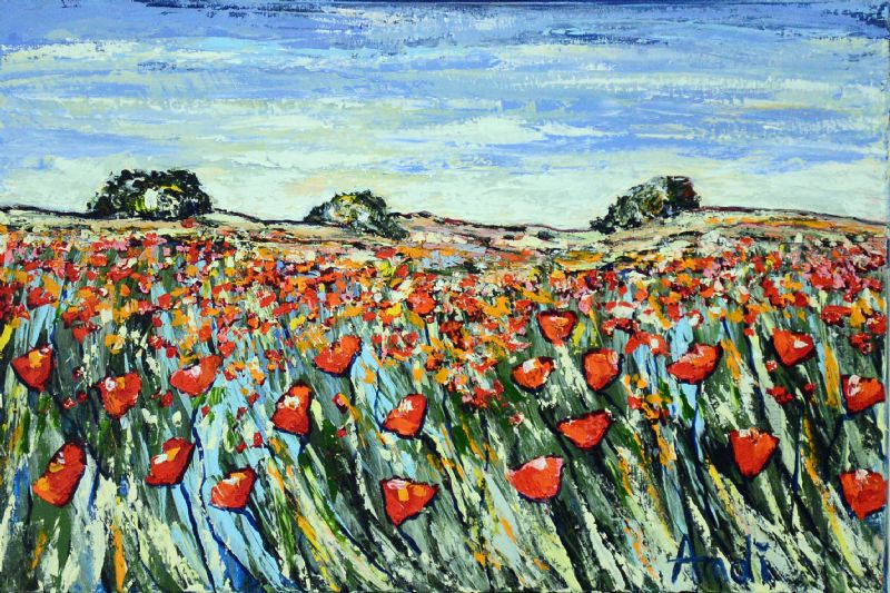 Valmuemark - Provence