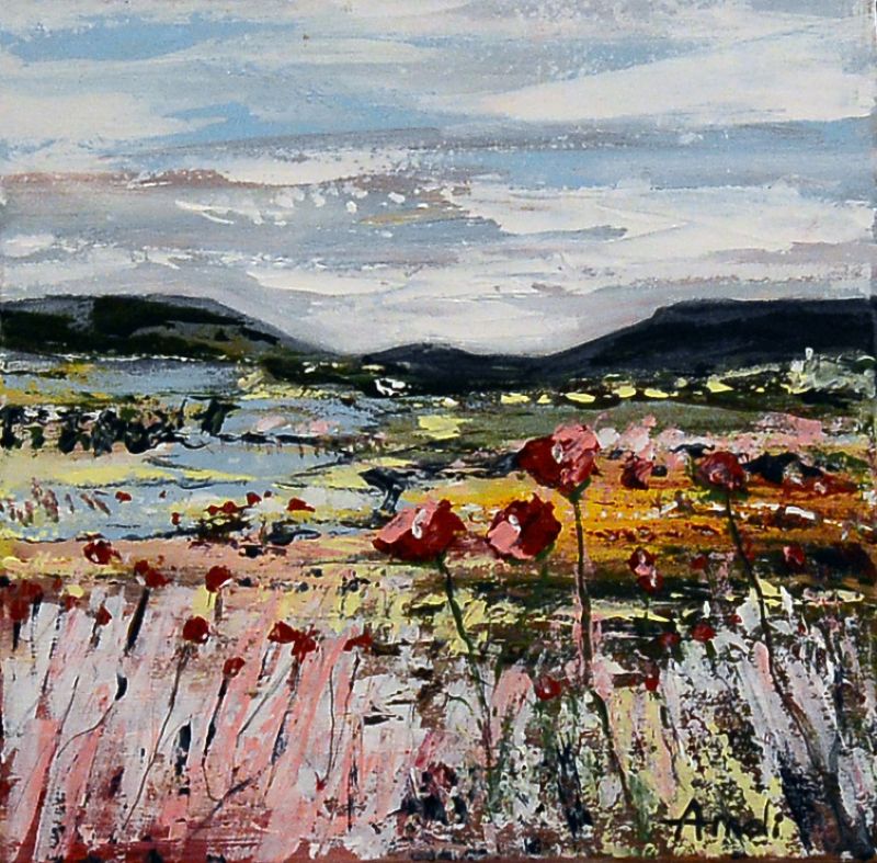 Open Field