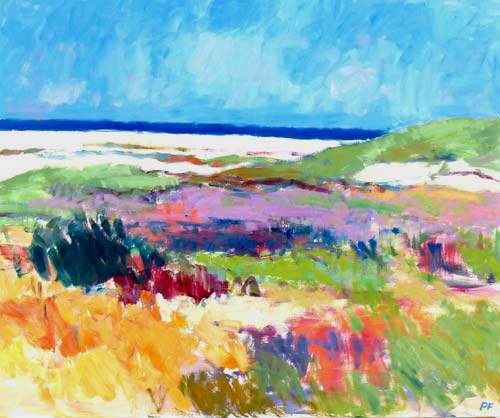 Klitter v/Vesterhavet