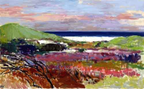 Klitter ved Vesterhavet