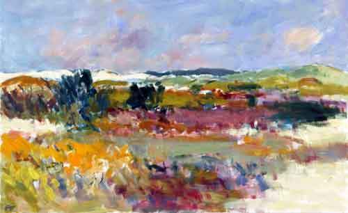 Klitter ved Vesterhavet