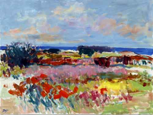 Klitter ved Vesterhavet