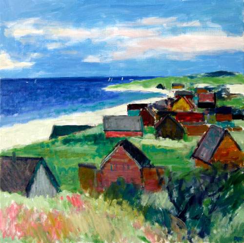 Sommerhuse i første klitrække