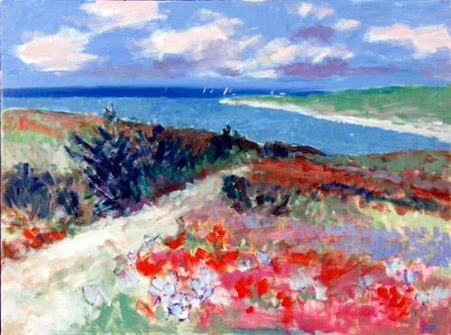 Klitter ved Vesterhavet