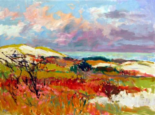 Klitter ved Vesterhavet