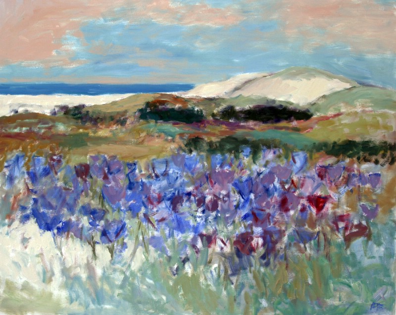 Klithede - Vesterhavet