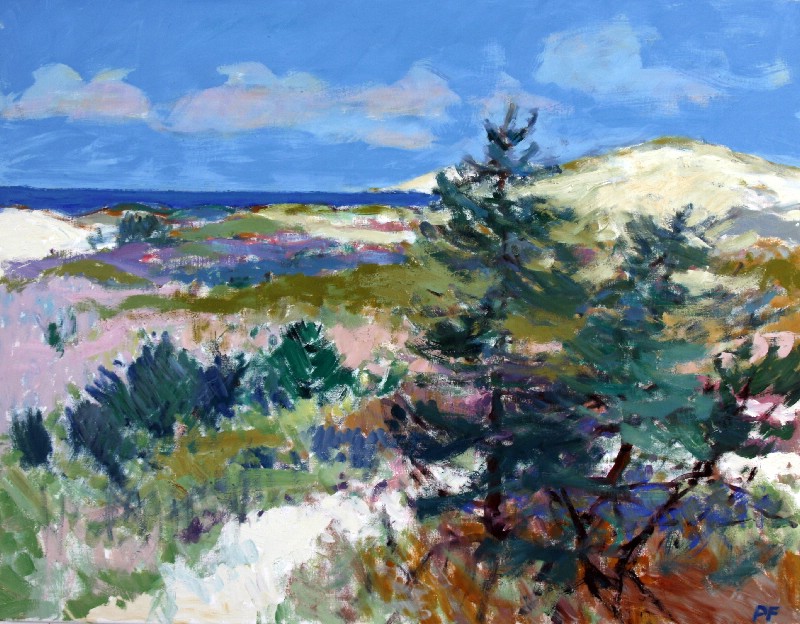 Klitter ved Vesterhavet