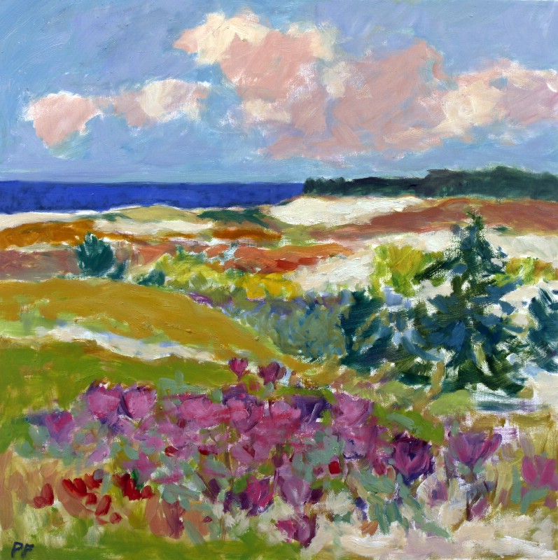 Klitter ved Vesterhavet