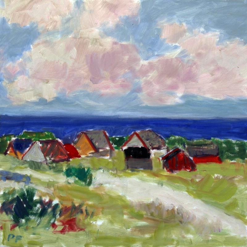 Huse ved Vesterhavet