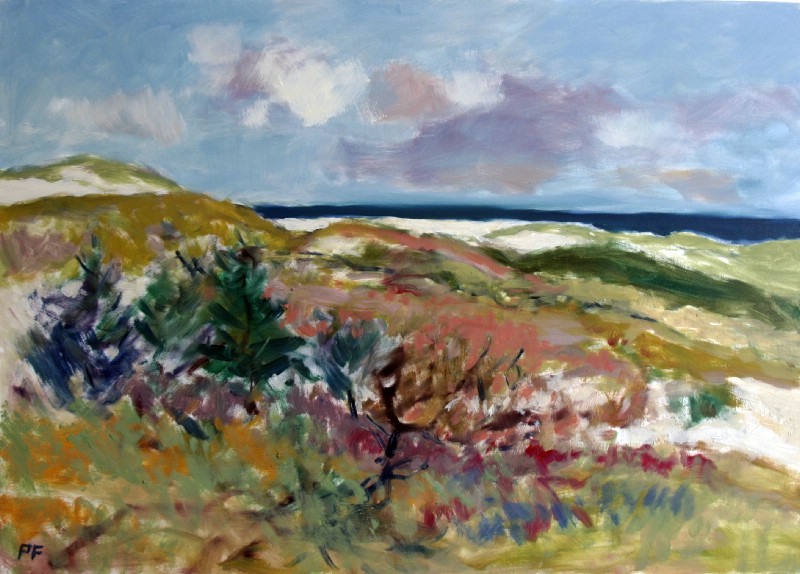 Klitter ved Vesterhavet