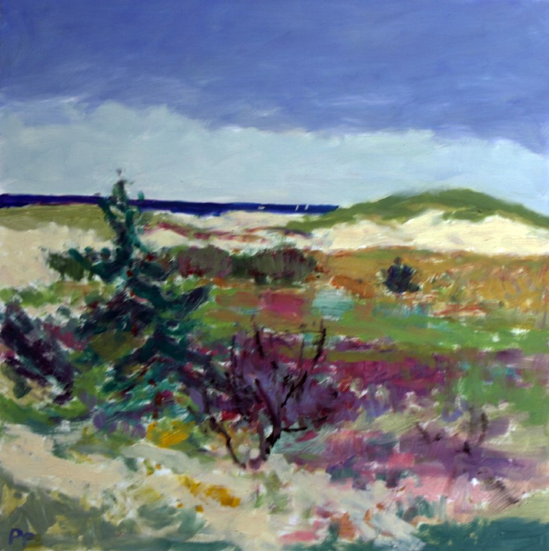 Klitter ved Vesterhavet