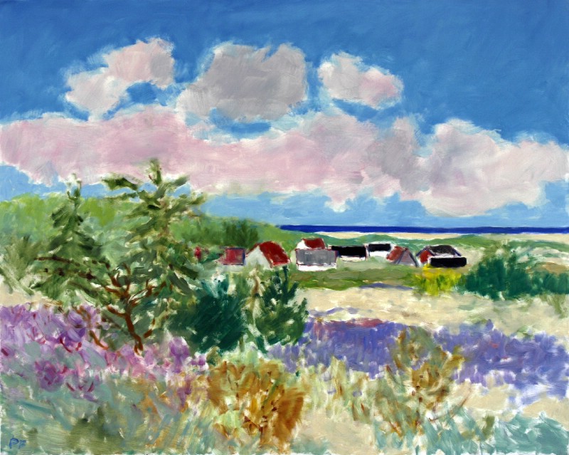Huse ved Vesterhavet 5