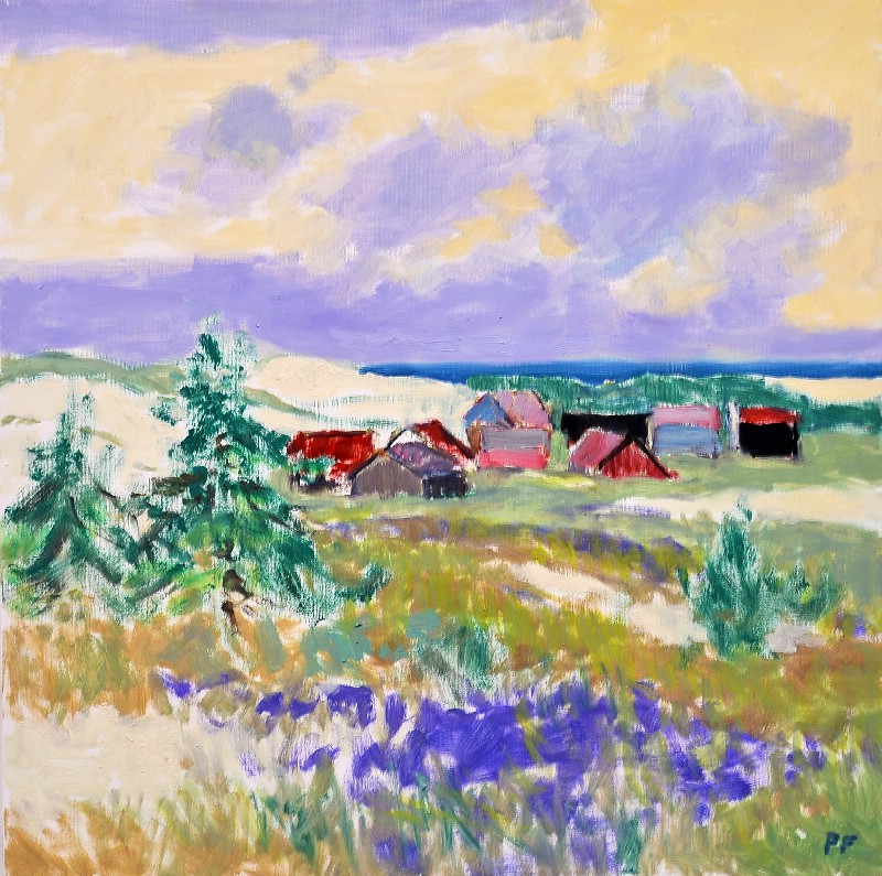 Huse ved Vesterhavet