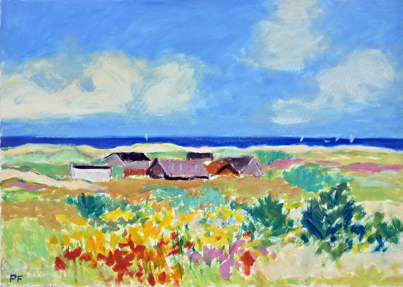 Huse ved Vesterhavet