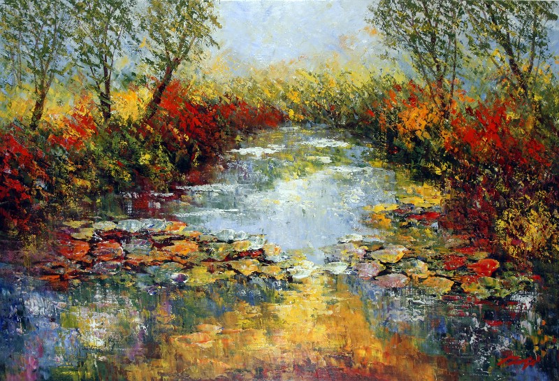 Gorgeous Water Lilies