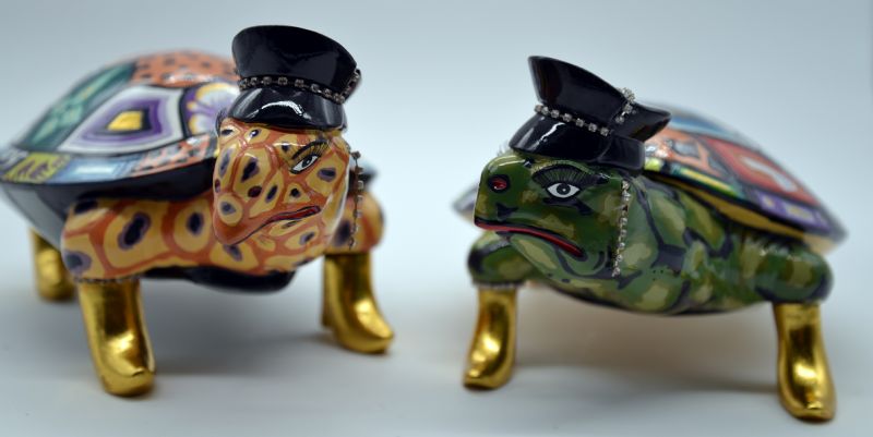 To skønne skilpadder