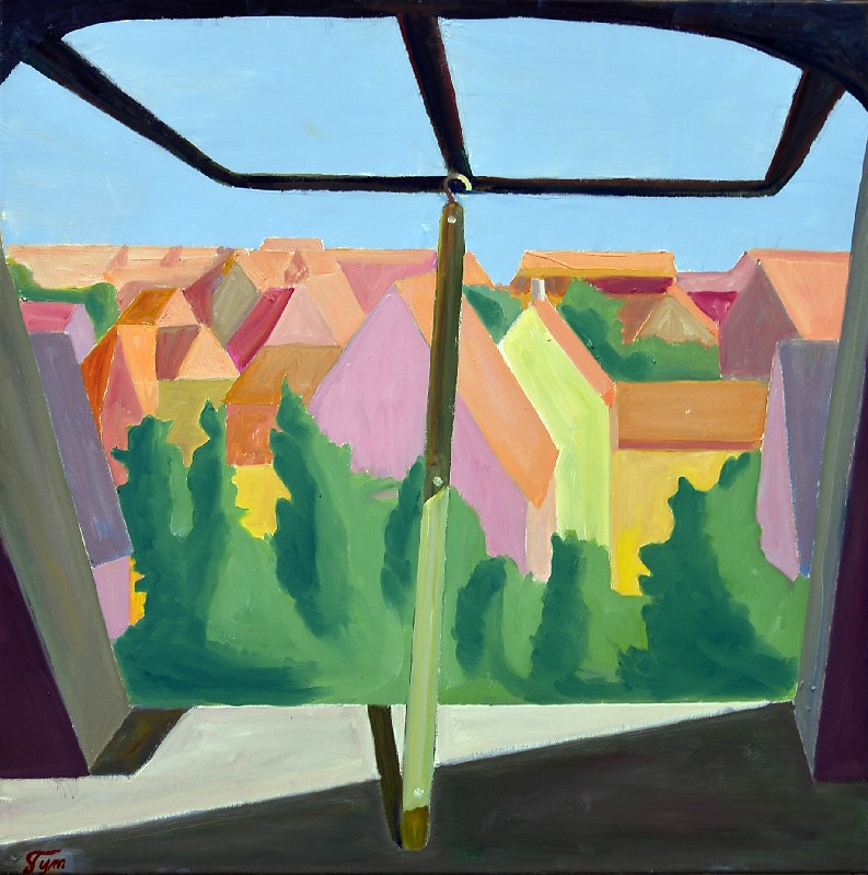 Tagvindue med grønt og orange