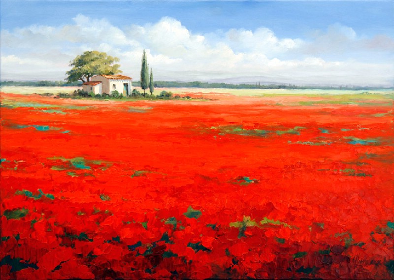 Field with Poppy Flowers